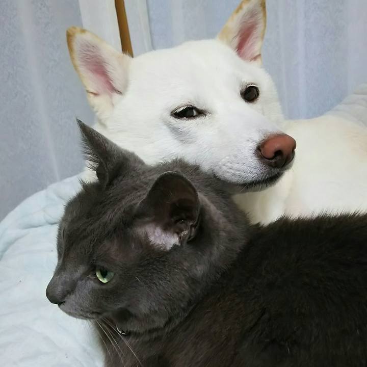 Fed12321 eaa9 4014 9219 7167c21af767