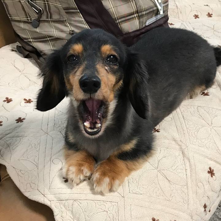 Fed20169 268b 493f 95a8 453cfd22462a