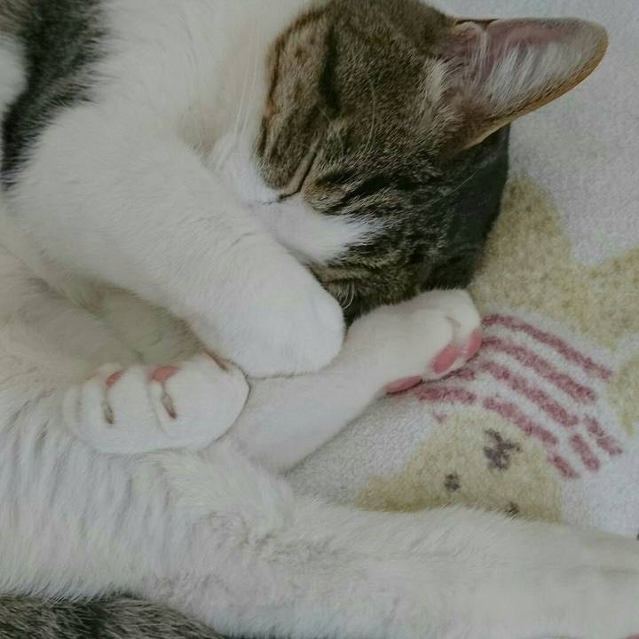 Fed21efd becc 4de3 a84d 3f18e803ecfb