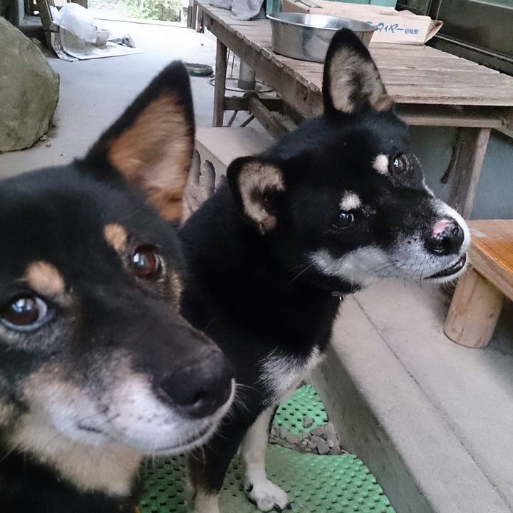 Fed2a5af 53ce 45c7 9de7 60e324fdf3d1