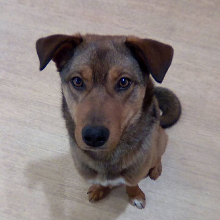 Fed2aa66 d499 4b71 aa1a e9c51cdea000