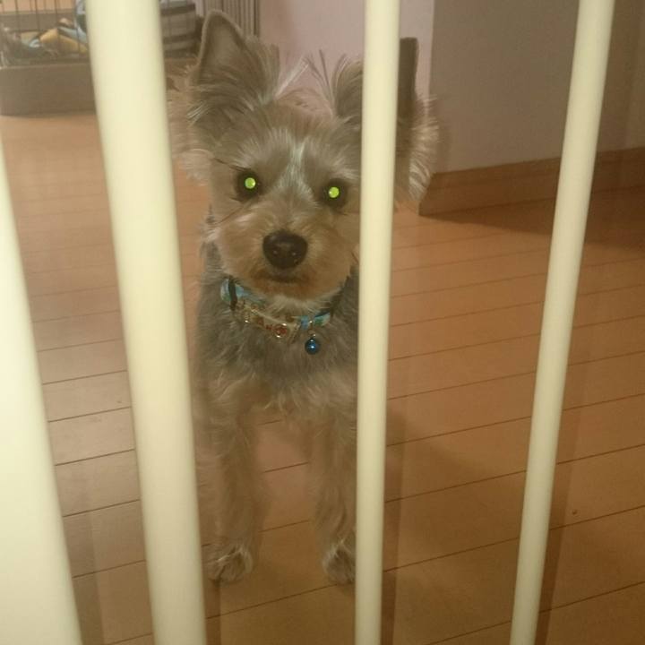 Fed2b624 c06c 478c aa3d 6057eff7d73b