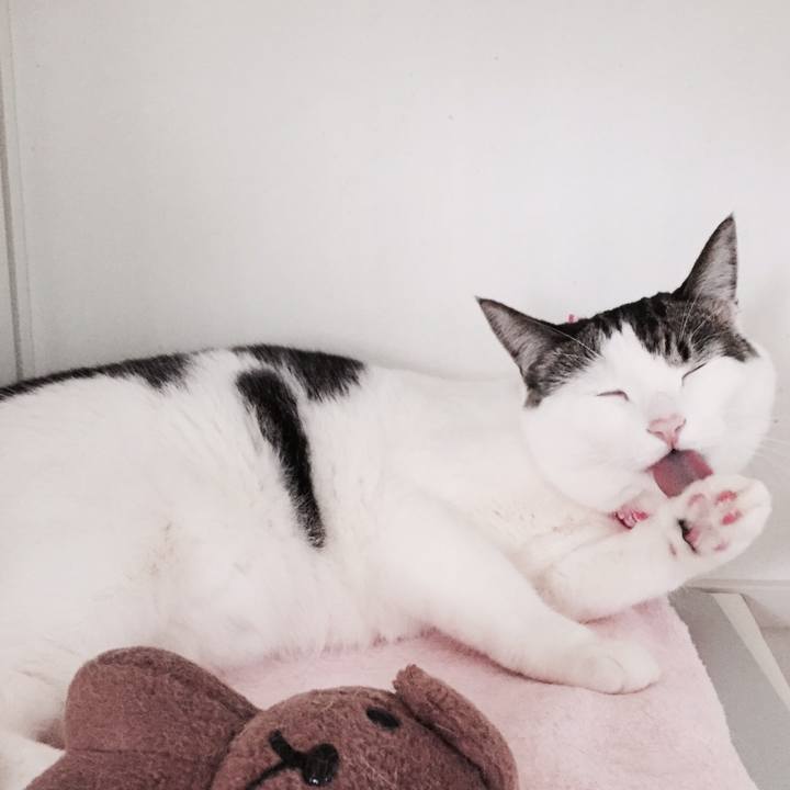 Fed33e1a f1a7 4ba0 add2 3032d50237ea