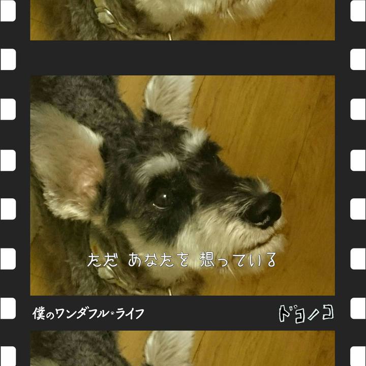 Fed4e191 d769 4222 9eda e9fa8fa2d20c