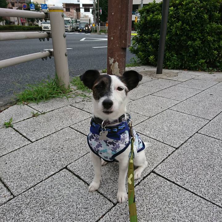 Fed4e906 03c9 47ec ba94 c313d779f9e6