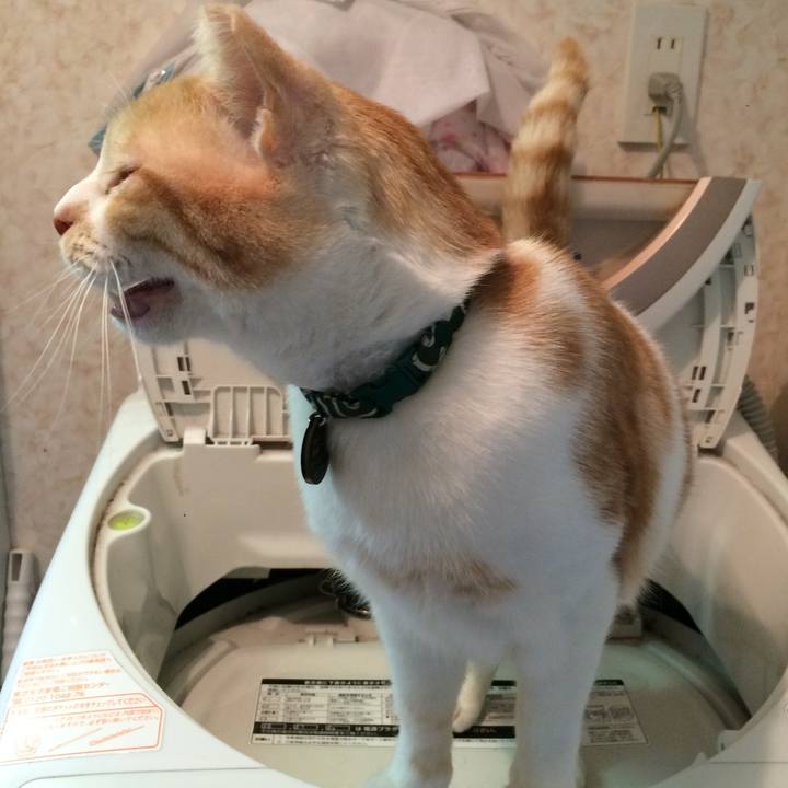 Fed50080 c6d2 4351 bafb 2b3784dda5ff