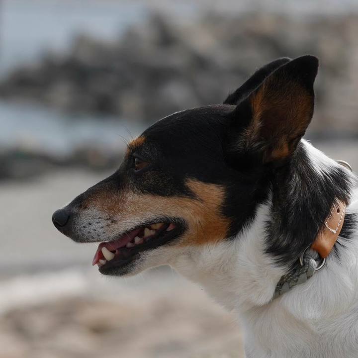 Fed5566a 28a5 4b77 b0c5 653feffe78cb