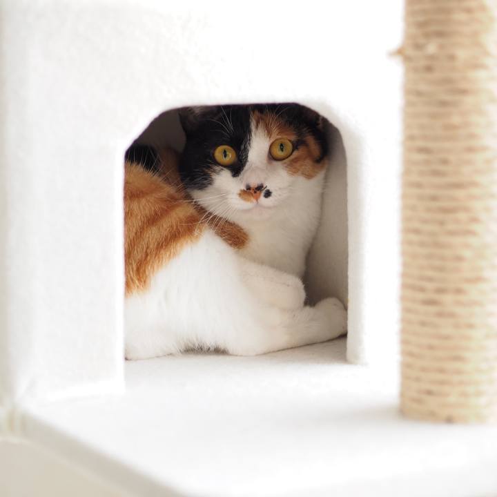 Fed5b2aa 8d7d 4f25 9145 159e823e8336