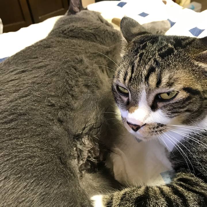 Fed6103c b9ee 42c0 923d 3355816b05a4