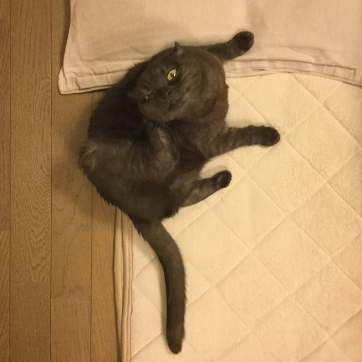 Fed62516 88f8 4806 ac9a c117fb6f1b8b