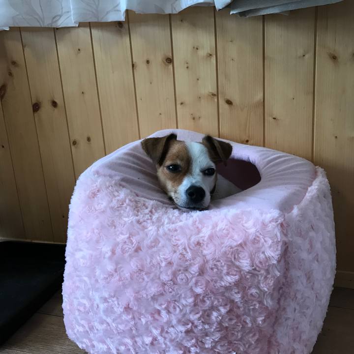 Fed69659 fd08 43df bfae 252941416371