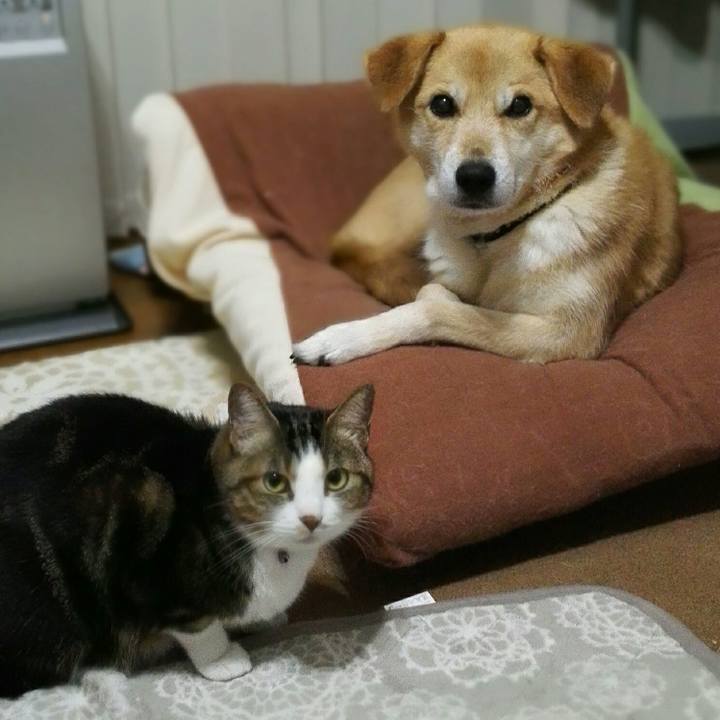 Fed77652 a52e 402a bd0c 067523713a28