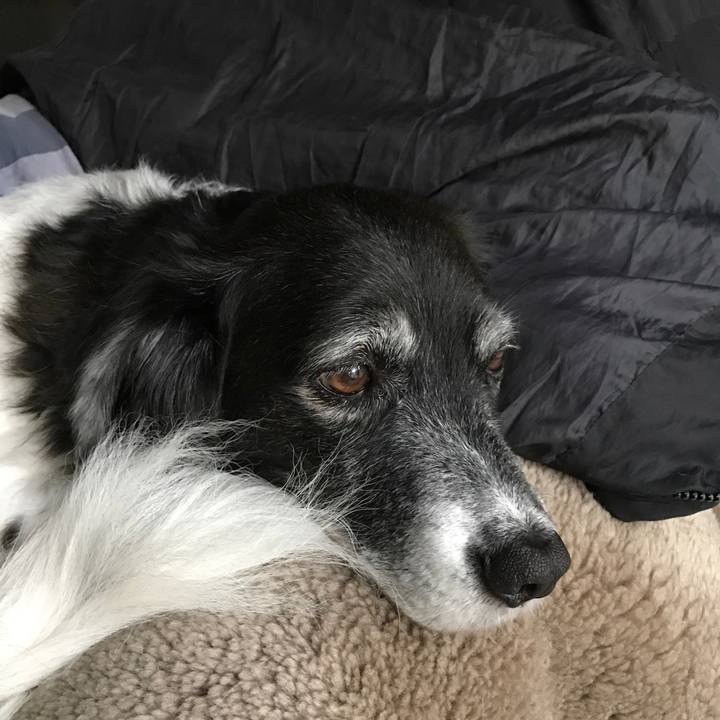 Fed8b4d6 e421 4df0 9dac d1c31f331ff6