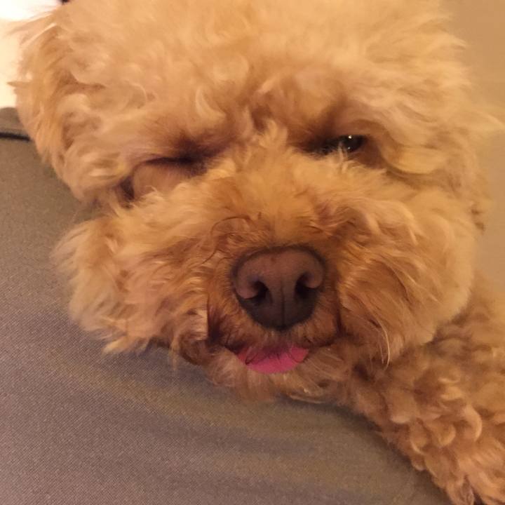 Fed8b4e0 f12d 4dec 80de 95885d73571c