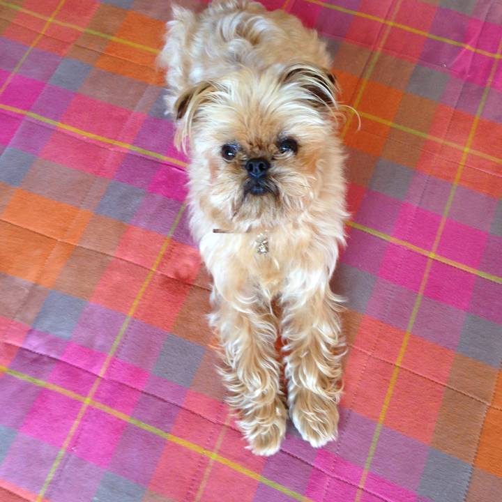 Fed90f28 8781 4a26 b542 5eb3adf710f9