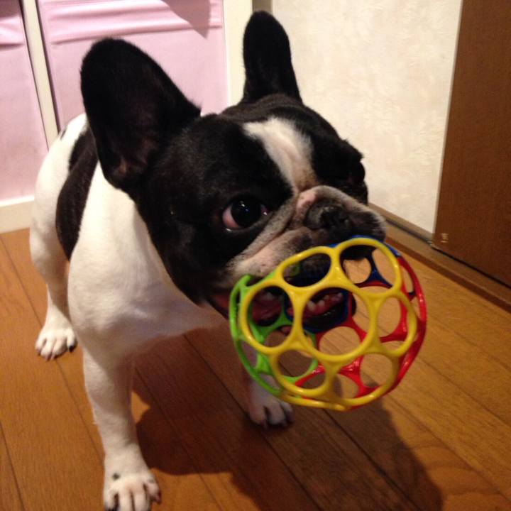 Fed90f32 e28a 4ad9 9291 33393571d65d