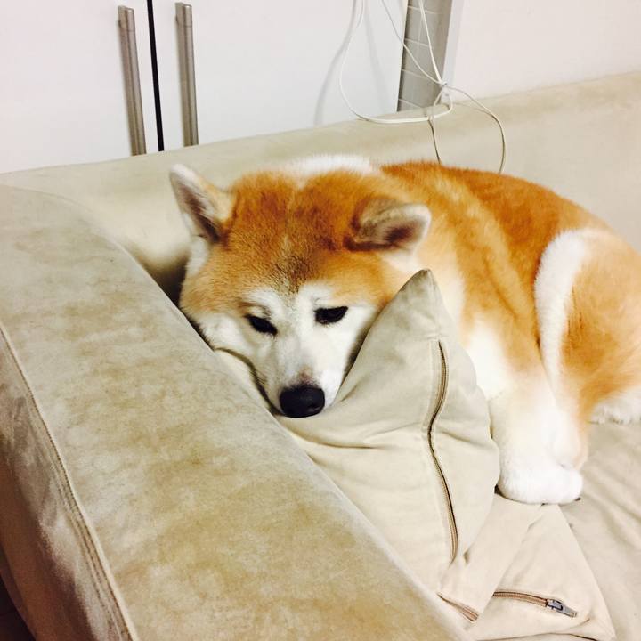 Fed91d1c 5e3c 41af af15 4a79c340f37e