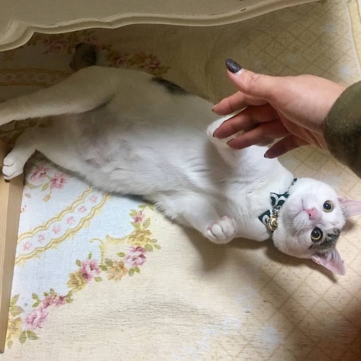 Fed9a174 8e87 411b 9bf0 73e9cf5aa998