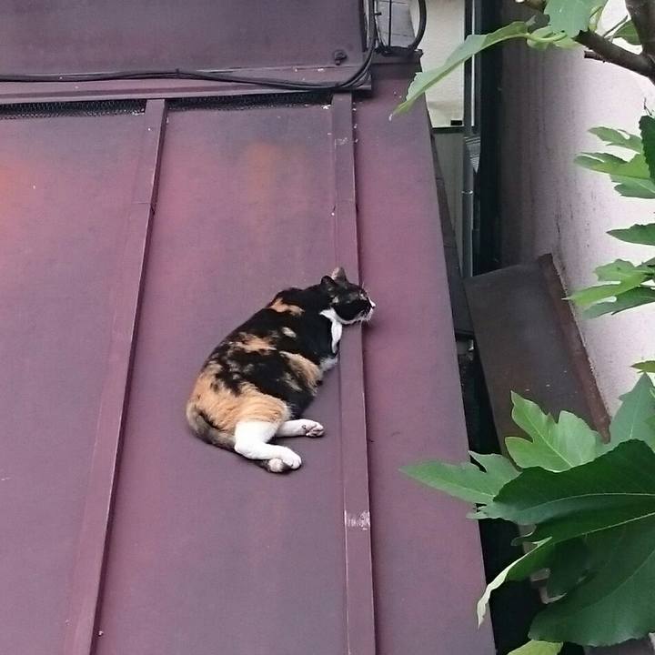 Fed9e15c 012f 4df9 8324 c7f00d0cf34f