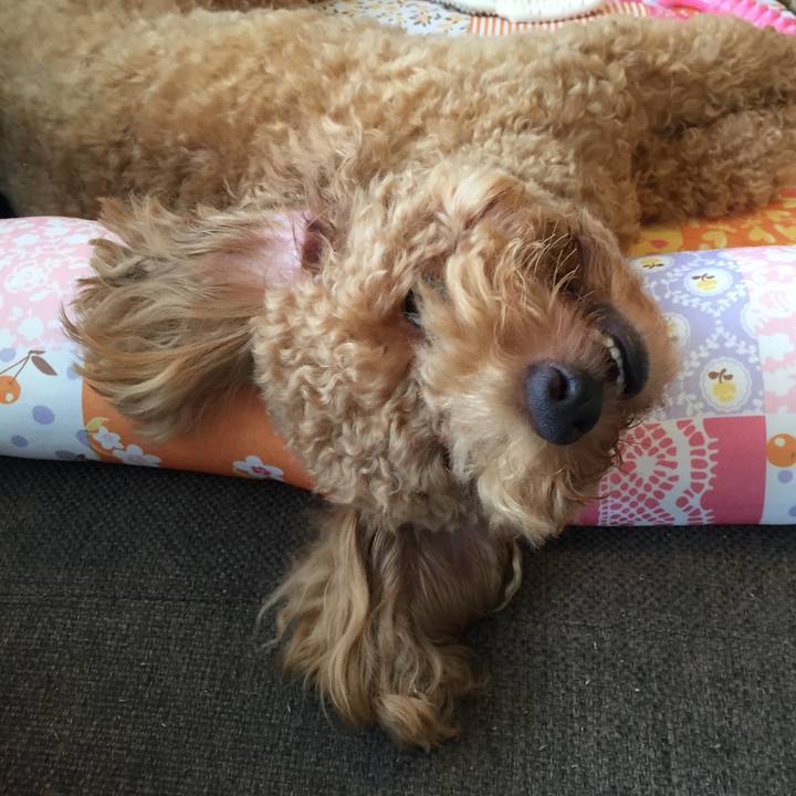 Feda2e70 adec 4d54 8136 b570902fc407