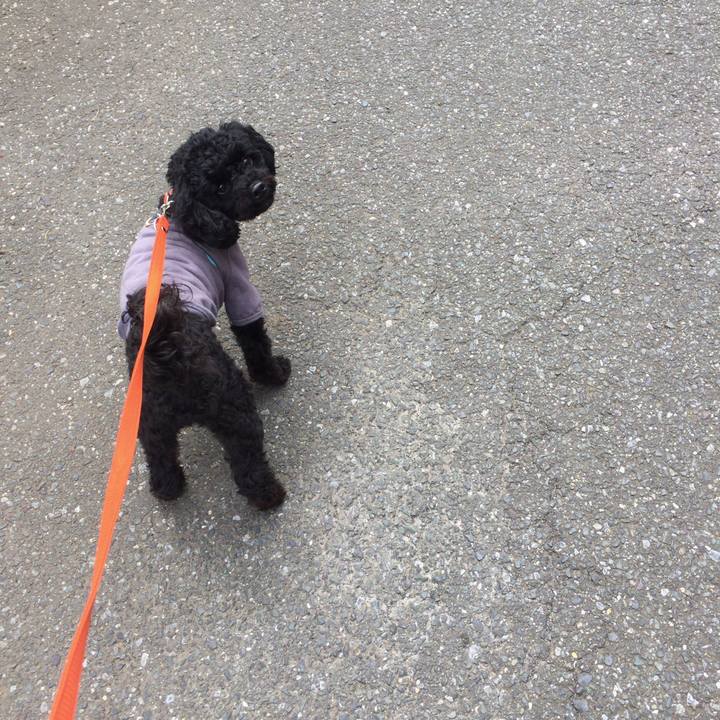 Feda6e62 715a 4a20 9c63 1c9120ef71a4