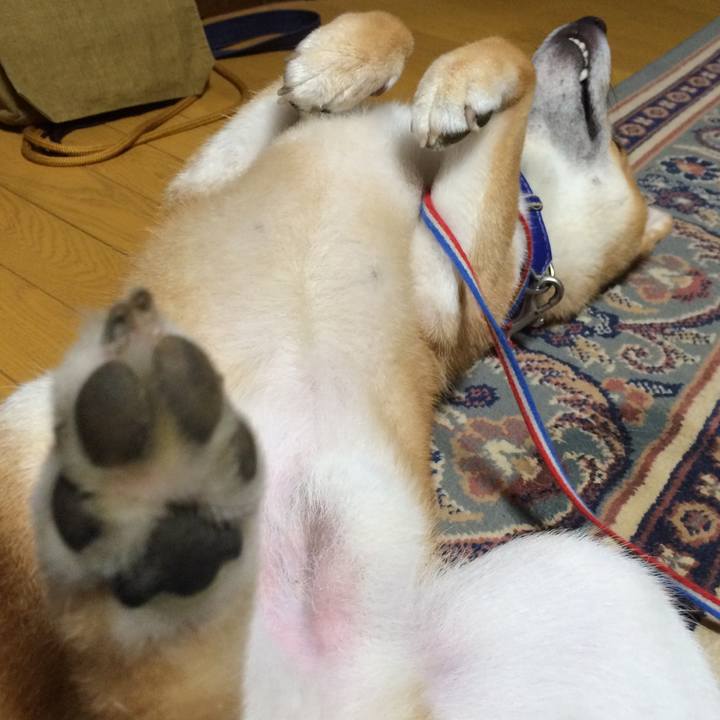 Fedaa2f6 b873 471c 8ea0 97034d161560