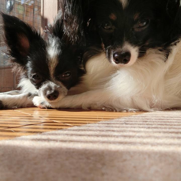 Fedadd02 5351 4dd5 92a9 be658a7dcf3e