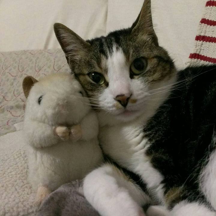 Fedb6462 3a00 4956 b99a e74ea9735968