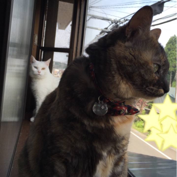 Fedbae86 543e 4abf bd47 95d69aeba1b3