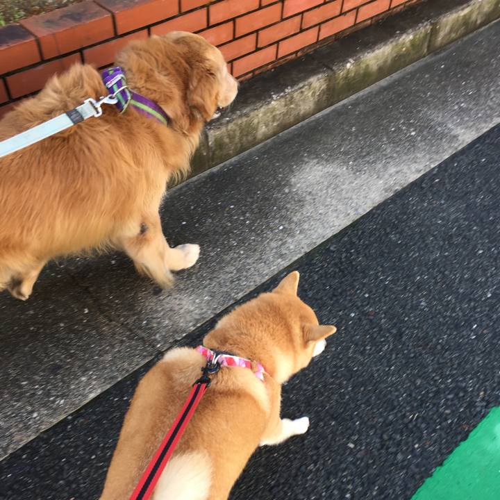 Fedbd0e7 20f8 42ed abcc d56d43b7933f