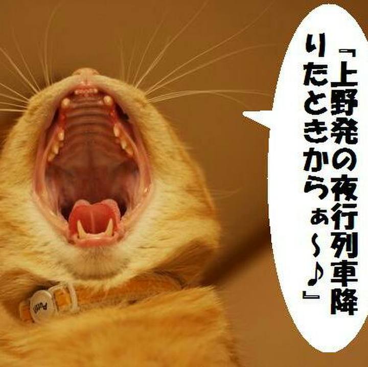 Fedc37e2 d576 48fd a580 6542dda6ee24