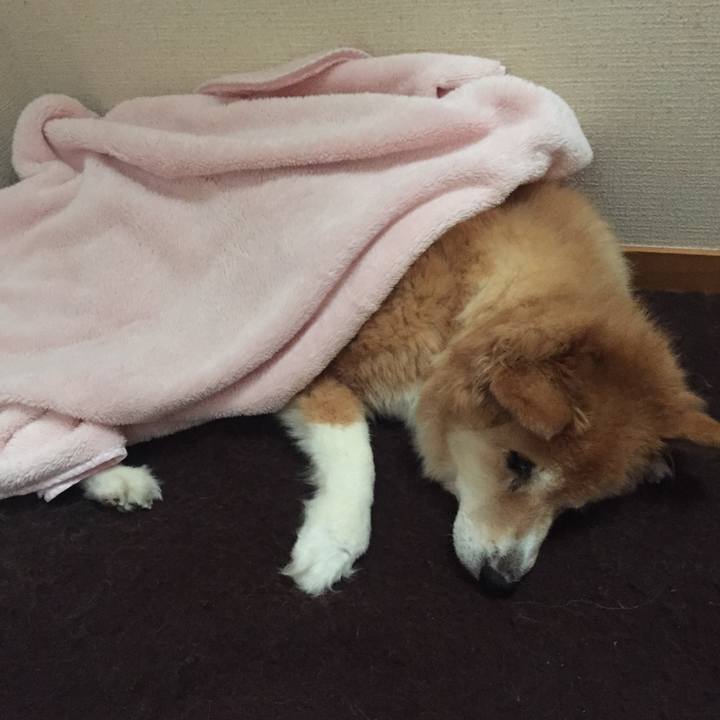 Fedca742 a52e 4cf4 a113 9bdd02cf55d2