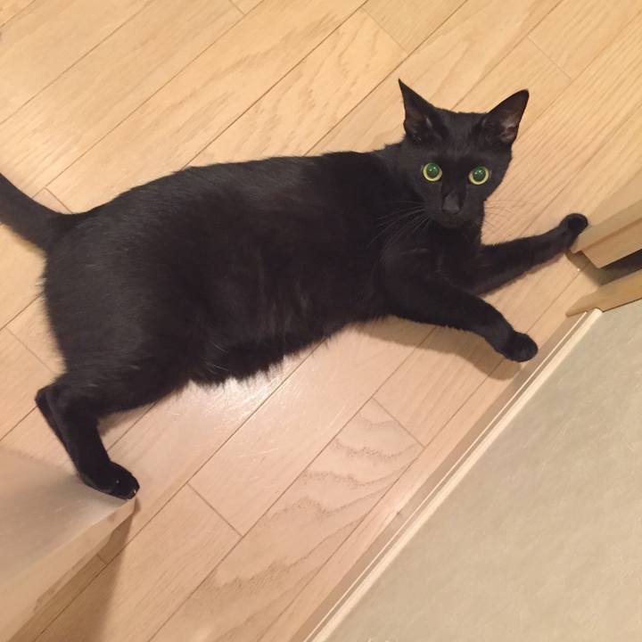 Fedcc6a4 3b50 4202 8e41 c15c1ff8d19f