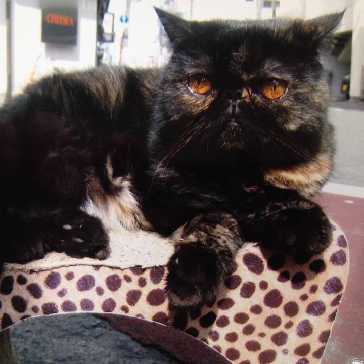 Fedd480b 5b8a 40e9 ac40 0b2185981264