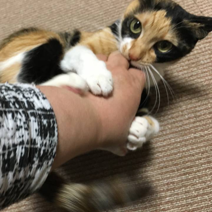 Fede2123 faa1 40bb 86e4 fd915649f17a