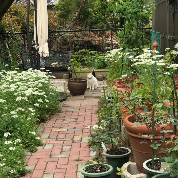 Fede3be5 8f2a 459e 8551 25eaf3bec000