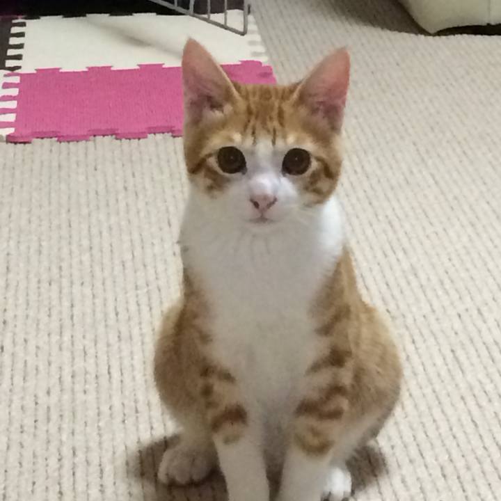 Fedeab35 098e 4a6a b041 2049f7a332be