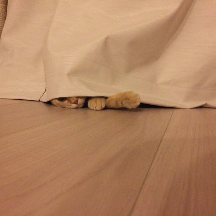 Fedf23e7 c108 44bd 8605 80b418dc6e3a