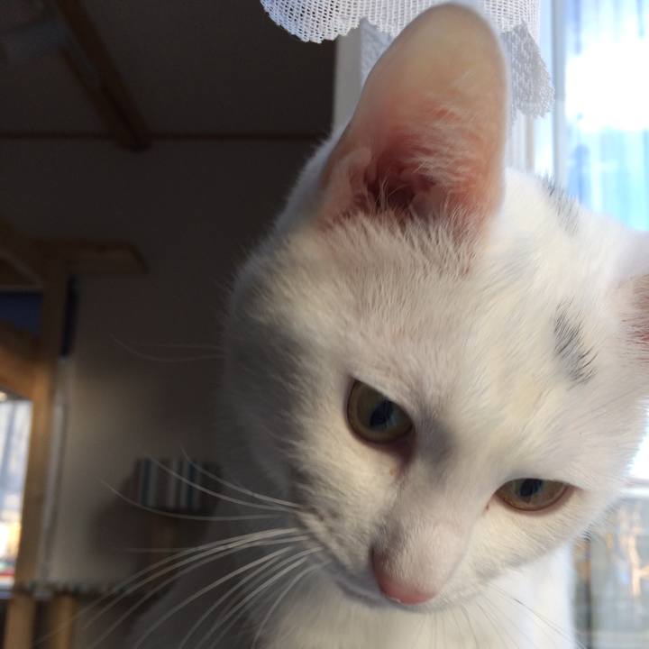 Fedf2556 83eb 4cba ad93 649944db3adb