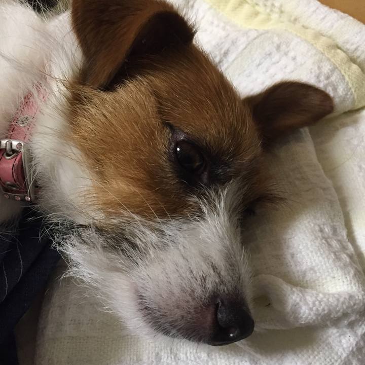 Fedf3c34 73f5 41f3 b6d5 ccfa92a38ace