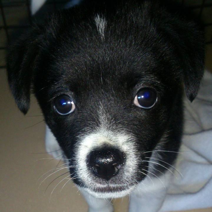 Fedf8720 5af8 4708 9fc8 97811c1273a2