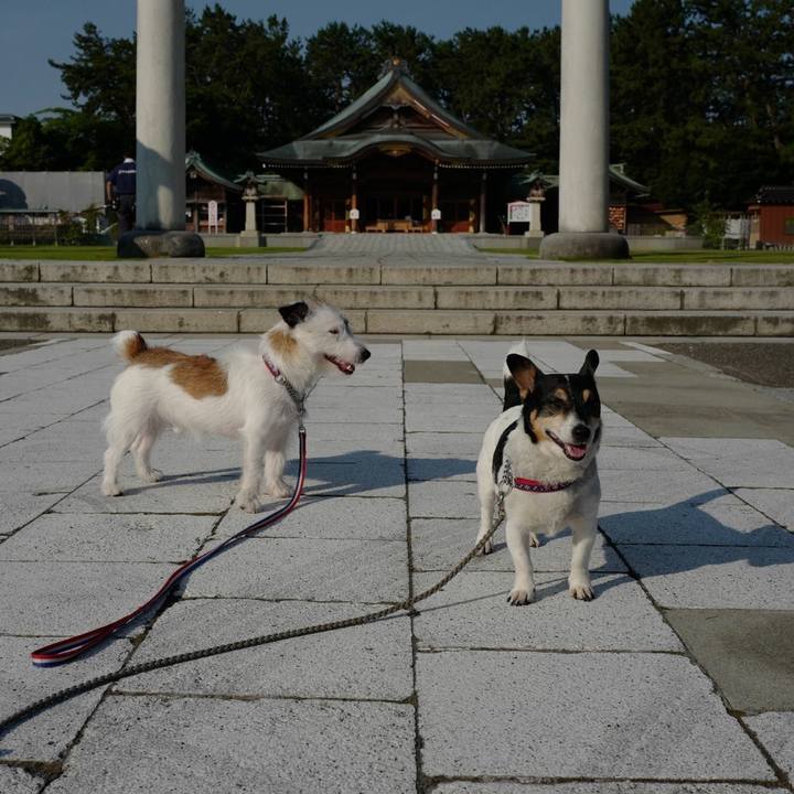 Fedfe1cd 975b 438e 9598 9d2bdcd365b3