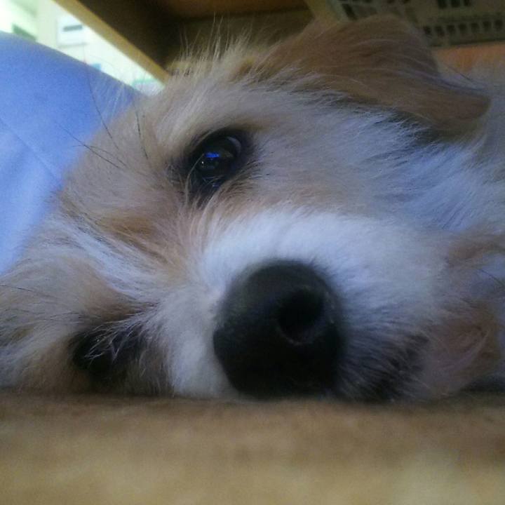 Fee02e6f 2aeb 4134 9040 7451fe16bcb8