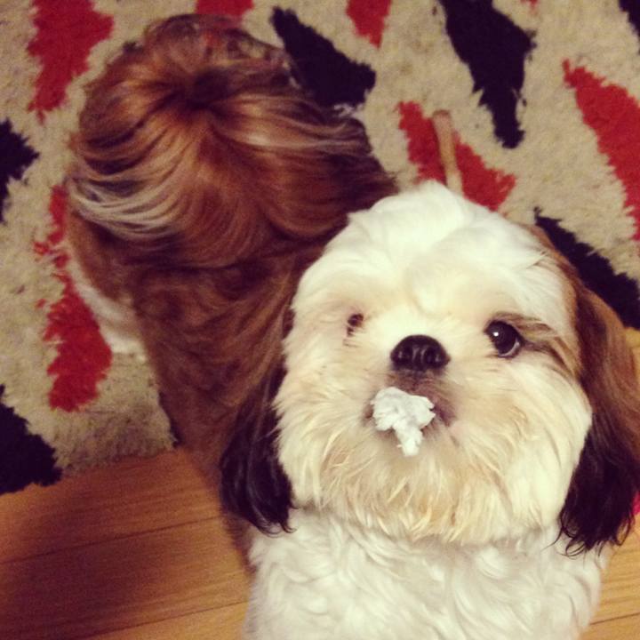 Fee02e88 8909 4d8e 891f 97930b890fad