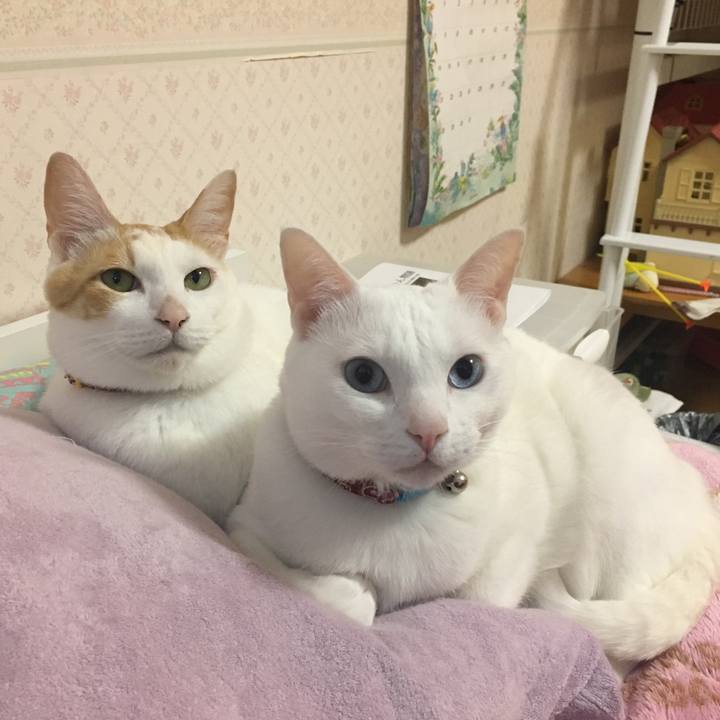 Fee078fb b2ef 429b b86d bf548f5fbd57