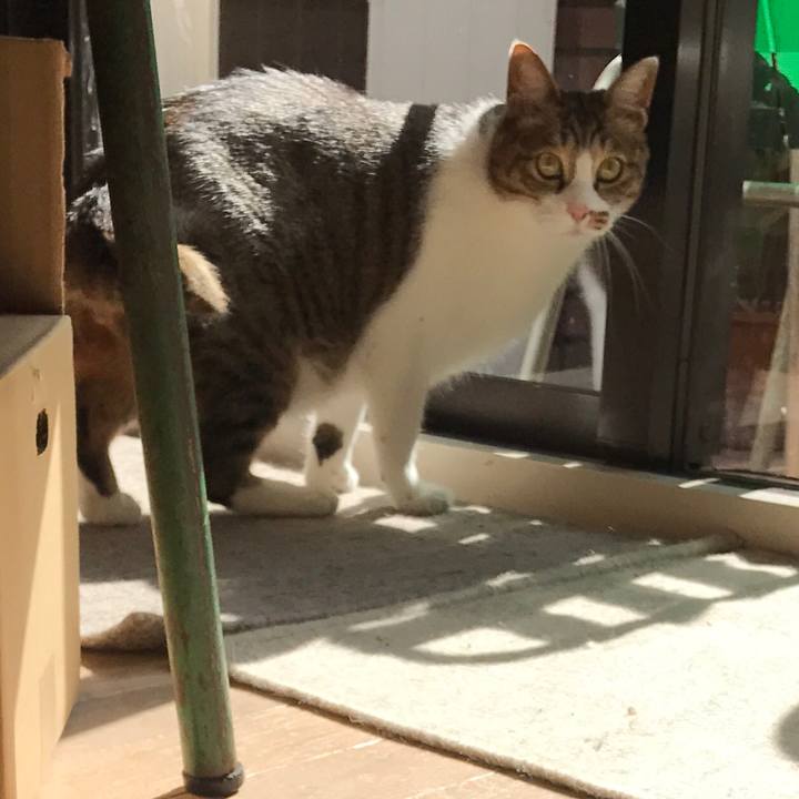 Fee07ade 4df3 446c b653 357a24dfcc2d