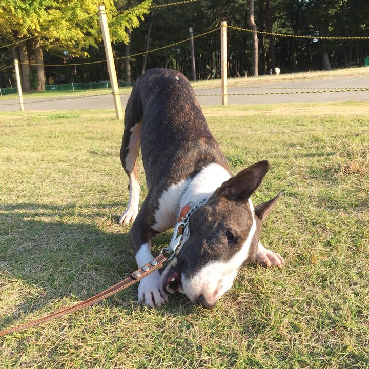 Fee08384 62ba 4075 a3df 10a2b727ac56