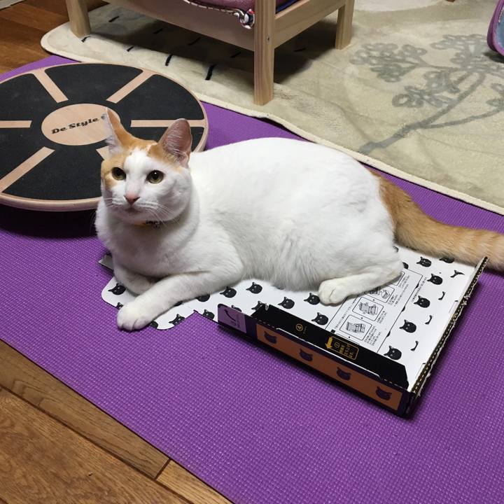 Fee0d978 da16 45d6 bbba 9ad36b1c2b01