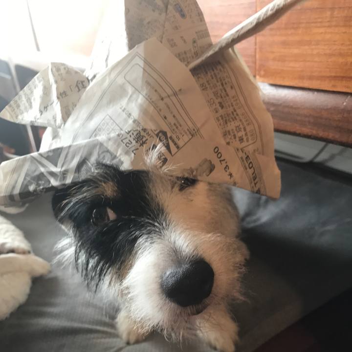 Fee17325 21d4 4852 b63d 9e1dde09724b