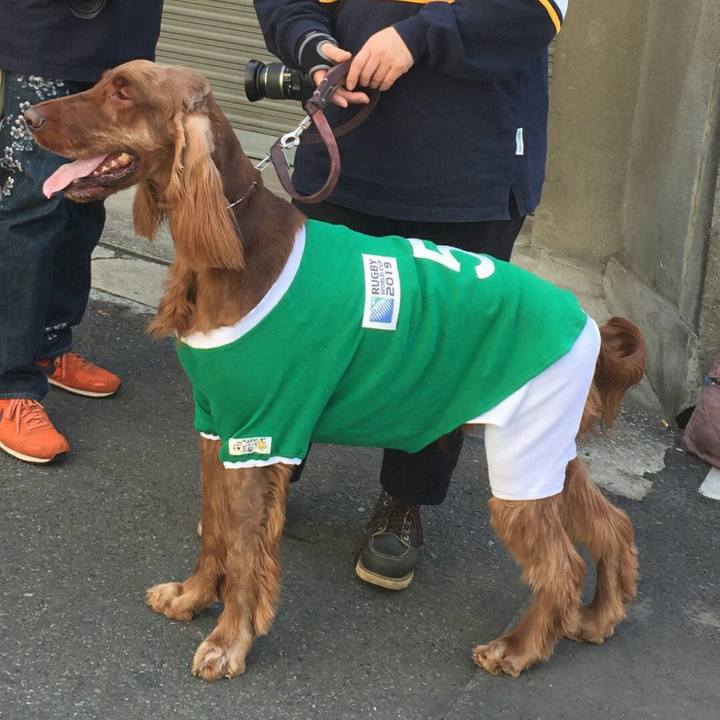 Fee17778 eab3 4670 ba9f 60defc8238c3